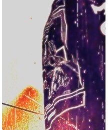 FRESH.I.AM | スウェット