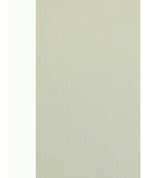 ROLLERS | シャツ/ブラウス