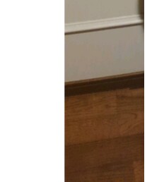 ZARA | Tシャツ/カットソー