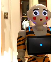 ペッパー | その他