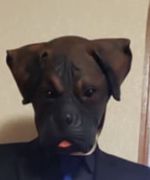 ボクサー犬 | コスチューム/パーティーグッズ