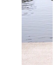 紺色のシンプル靴下 | ソックス/靴下