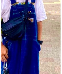 Carhartt | サロペット/オーバーオール