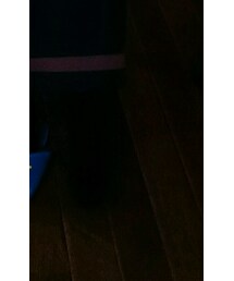 不明 | ワンピース