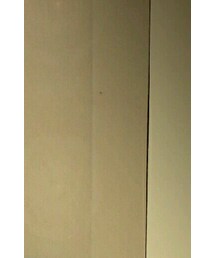 なし | ハンチング/ベレー帽