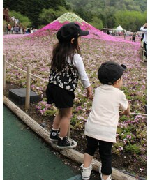 富士芝桜まつり | その他