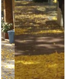 MANGO | デニムパンツ