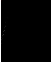 SOPHNET. | Tシャツ/カットソー