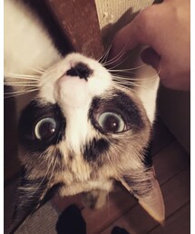looove♡ | その他