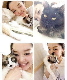 ムスメ🐈ムスコ🐈 | その他