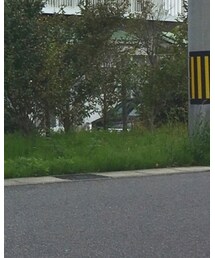 Disney | アナログ腕時計