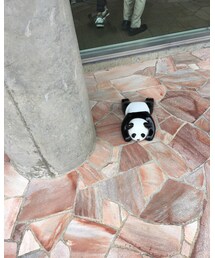 謎のパンダ | フィギュア