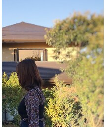 OLIVE des OLIVE | シャツ/ブラウス