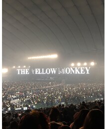 THE YELLOW MONKEY | CD