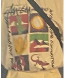 STUSSY | Tシャツ/カットソー