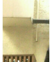 KINGLYMASK | ピーコート