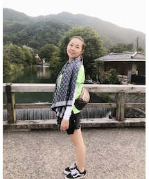 STUSSY | Tシャツ/カットソー