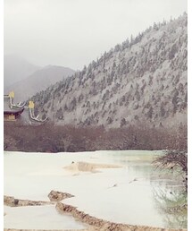 BURBERRY | マフラー