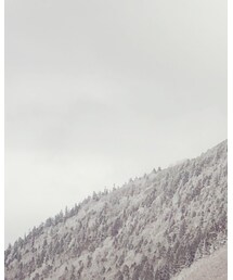 STUSSY | ニットキャップ/ビーニー