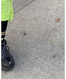 BALENCIAGA | その他シューズ