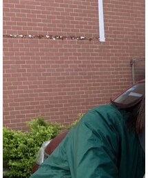 BURBERRY | サンバイザー