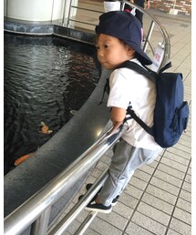 鯉見てます🐟💓 | その他