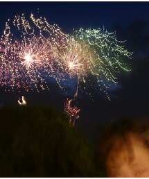 花火 | その他