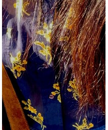 MiH Jeans | シャツ/ブラウス