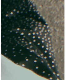 GU | その他パンツ