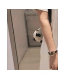 ごろねこサミット | おもちゃ