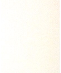 チチカカ | Tシャツ/カットソー