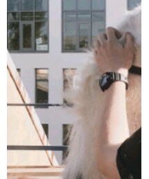 CASIO | アナログ腕時計