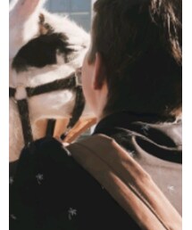 H&M | シャツ/ブラウス