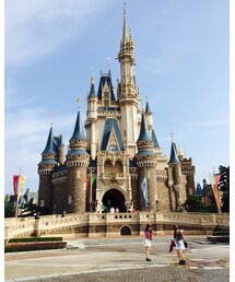 シンデレラ城 | その他