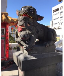 パグにしか見えない | その他