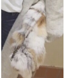 Ungrid | クラッチバッグ