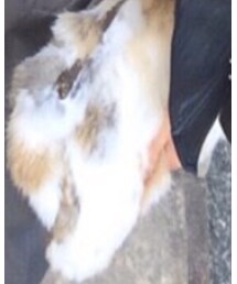 Ungrid | クラッチバッグ