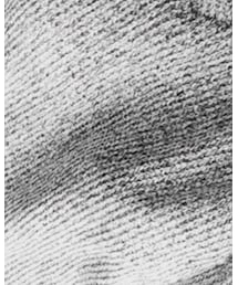 INGNI | ニット/セーター