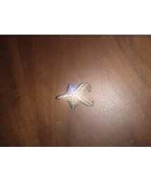 havaianas | ヒトデ指輪(リング)