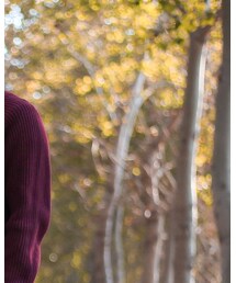 UNIQLO | トップス