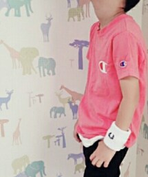 Champion | Tシャツ/カットソー