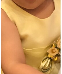 NET | ワンピース