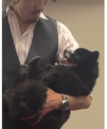 こたろーくん | その他