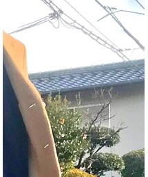 ABAHOUSE | チェスターコート