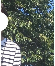 GLOBAL WORK | Tシャツ/カットソー