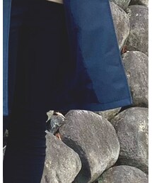 UNIQLO | パーカー