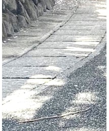 L.L.Bean | その他パンツ