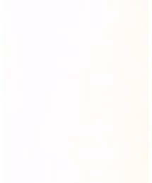 FRAMeWORK | ハット