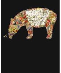 ねごと | Tシャツ/カットソー