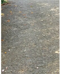 Simplicite | スカート